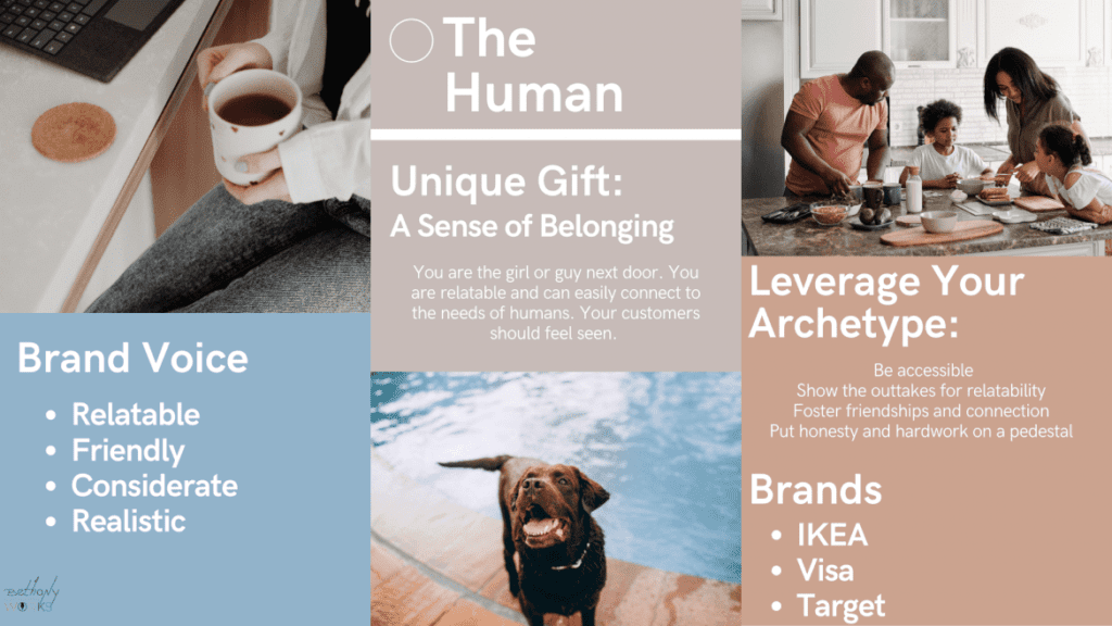 Infographic of The Human Archetype​