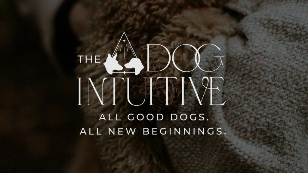 person holding a dog with a logo over the image that says "the dog intuitive. all good dogs. all new beginnings."