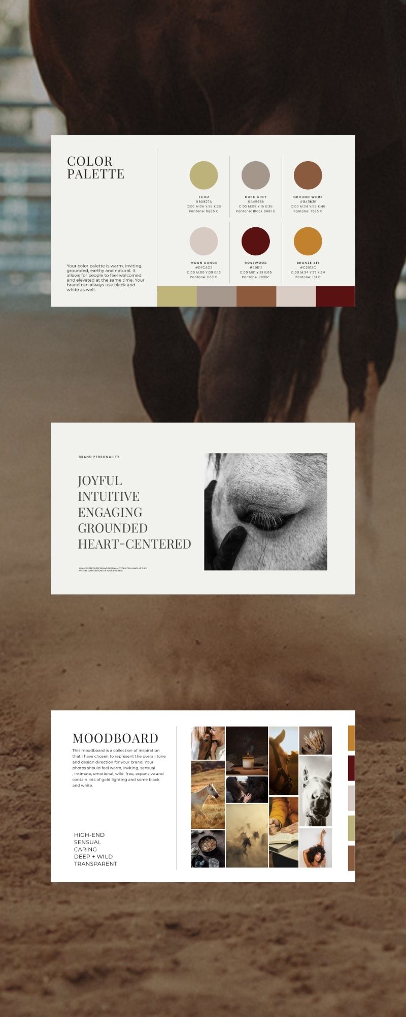 Mockup of brand guide pages for an intuitive horse education brand.